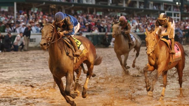 How the Racing Industry Review Could Reshape Guest Engagement in Hospitality