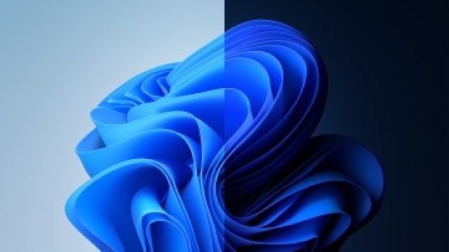 Celebrating Five Years of Wind