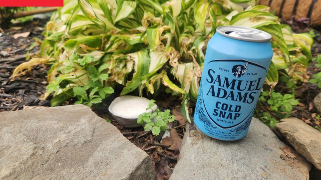Innovative Garden Solutions: How Beer Can Transform Your Green Space