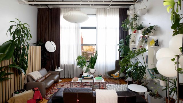 Transform Your Space Instantly with IKEA's Affordable FADO Lamp