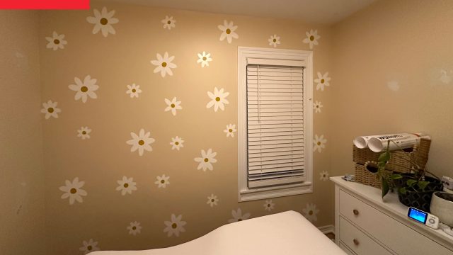 Transform Your Space: The Whimsical Charm of Canopy Beds