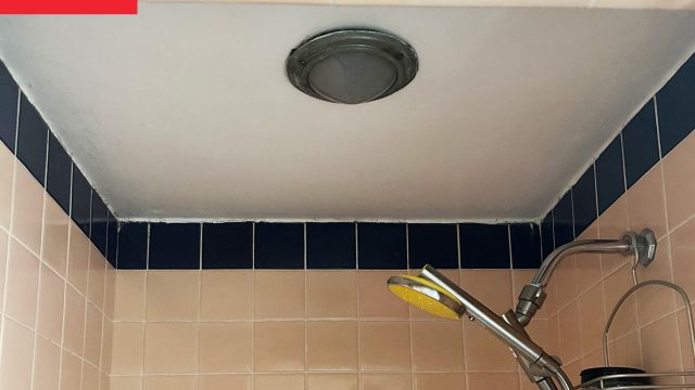Transforming Your Shower: A Creative Approach to Bathroom Decor