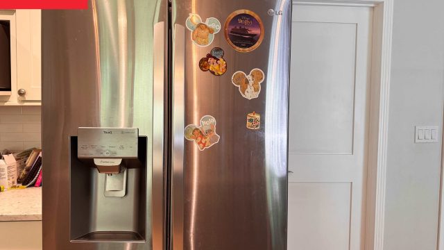 Innovative Storage Solutions for Your Home: The Dollar Tree Dryer Sheet Holder
