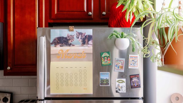 Maximizing Freezer Space: Creative Storage Solutions for Every Home
