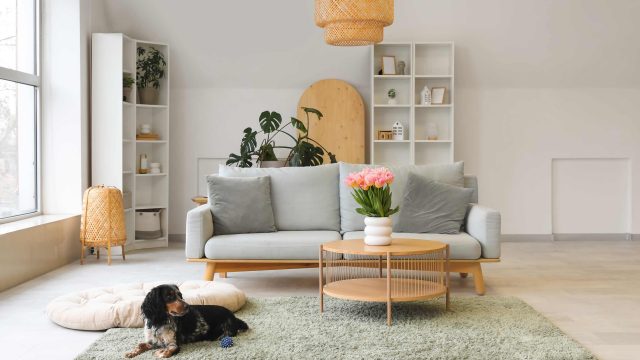 Unlocking Early Savings: Essential Labor Day Deals for Your Guest Room
