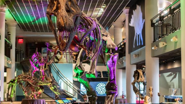 The End of an Era: Last Chance to Visit the Academy of Natural Sciences
