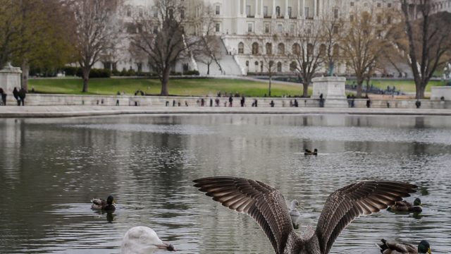 Concerns Rise Over Health Risk