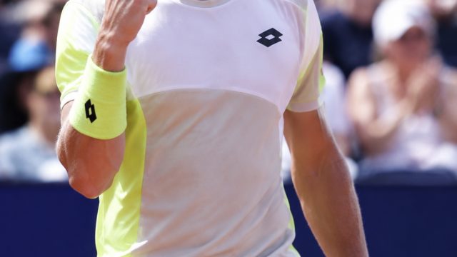 Davidovich Fokina Advances in 